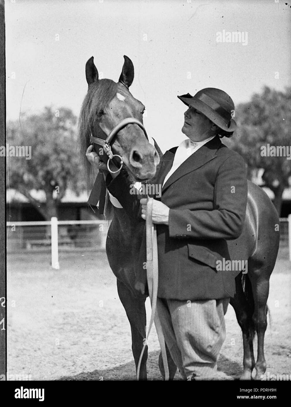 141 22332 SLNSW Royal Easter Show Banque D'Images