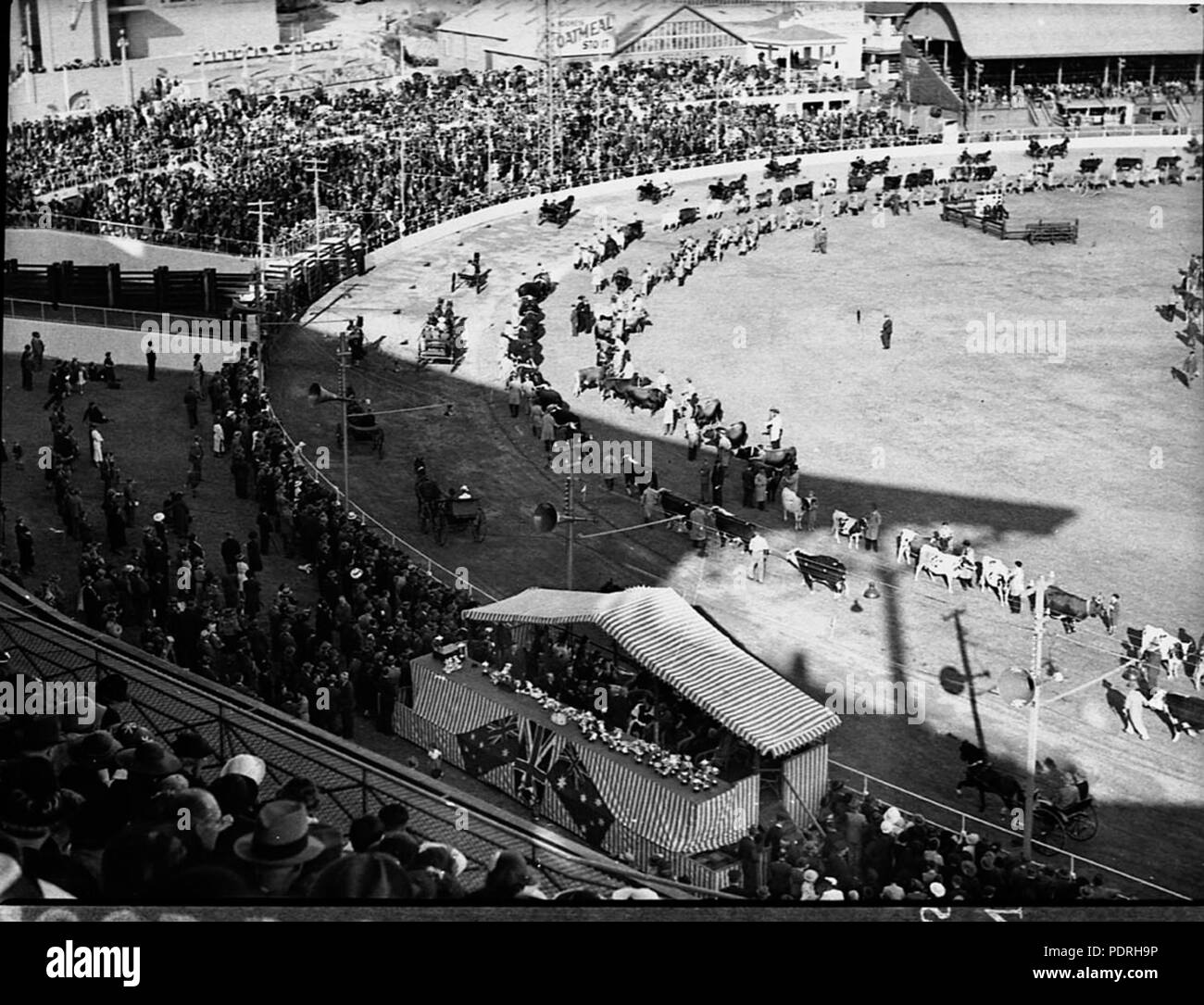 141 22344 SLNSW Royal Easter Show Banque D'Images