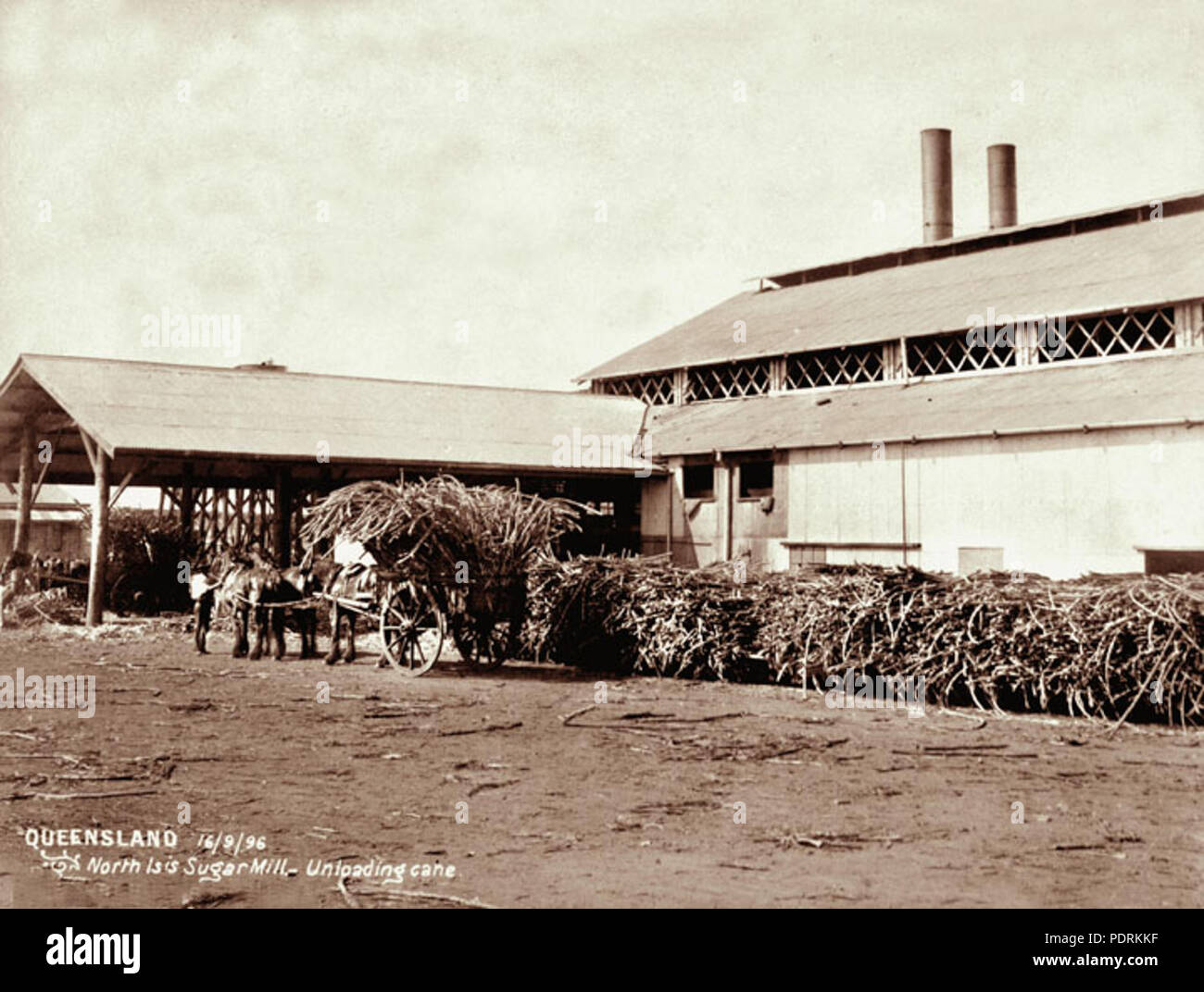 106 Archives de l'État du Queensland de 2302 à partir de canne à sucre Isis drays Nord Moulin 16 Septembre 1896 Banque D'Images