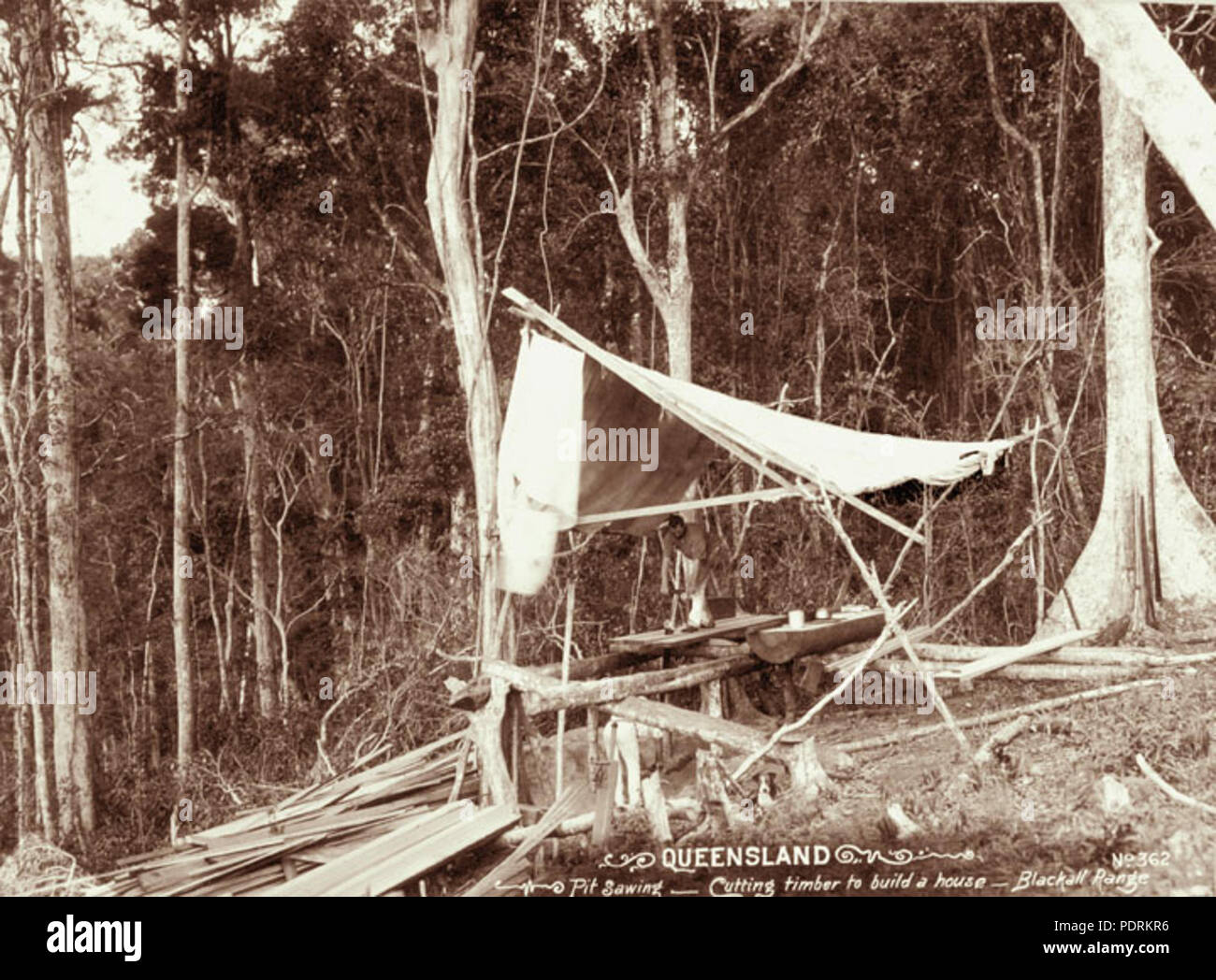 106 Archives de l'État du Queensland 2393 Pit le sciage et coupe du bois pour construire une maison à C M Nothlings Farm Blackall Range c 1899 Banque D'Images