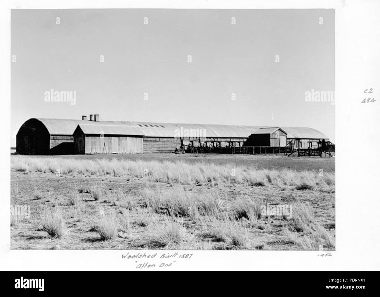 118 Archives de l'État du Queensland 5029 Jeunesse The Woolshed construite en 1887 Hampton Downs 1952 Banque D'Images