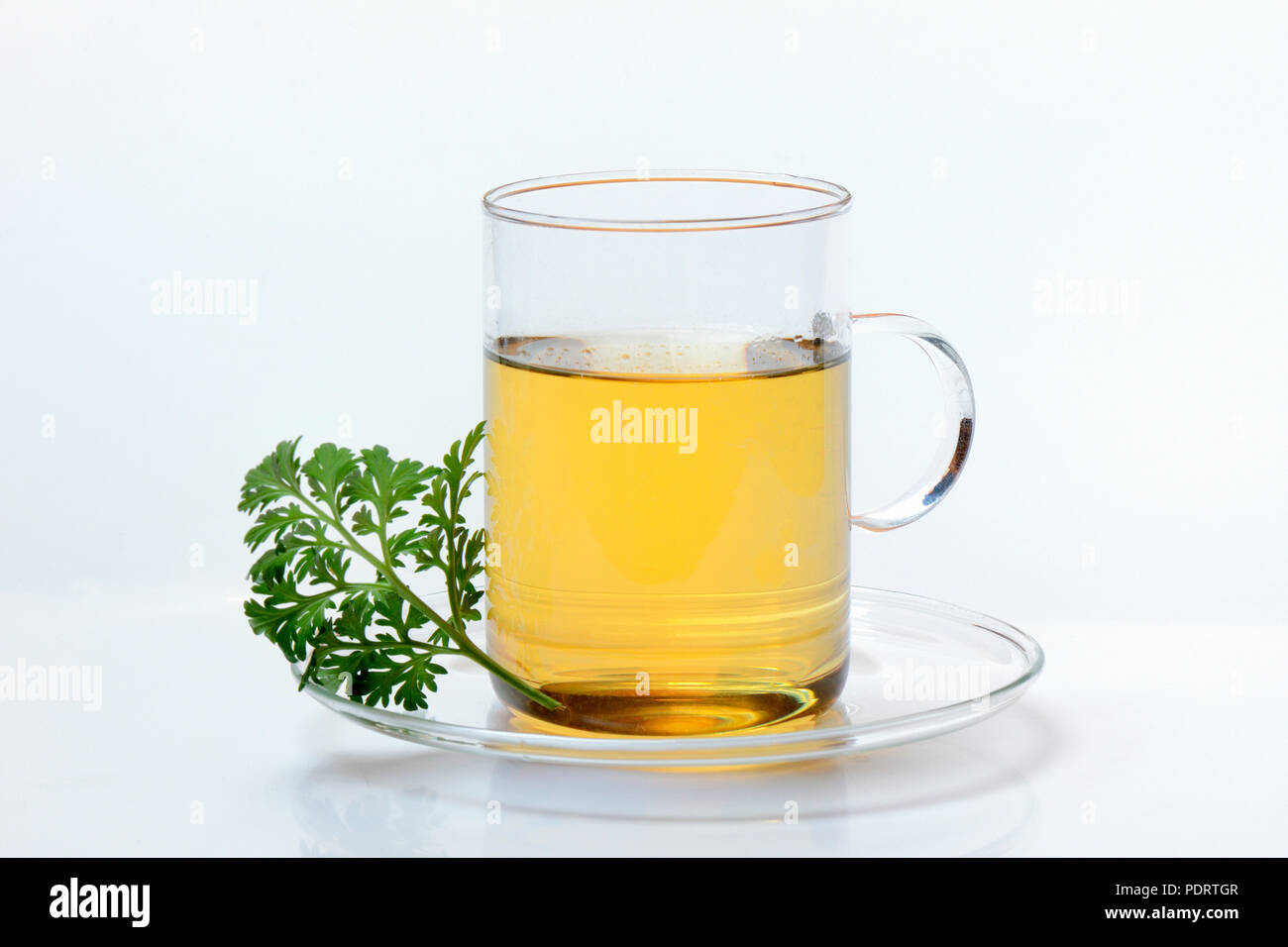 Dans Wermuttee Tasse und Wermutkraut, Artemisia absinthum Banque D'Images