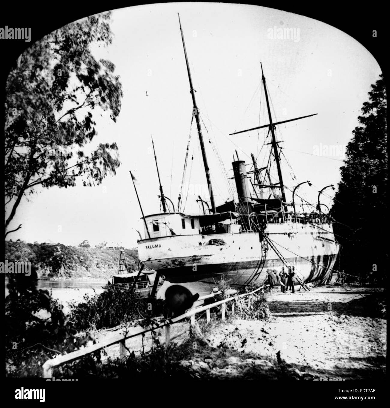 243 1 174939 StateLibQld Paluma (navire) est échoué dans les jardins botaniques, Brisbane, 1893 Banque D'Images