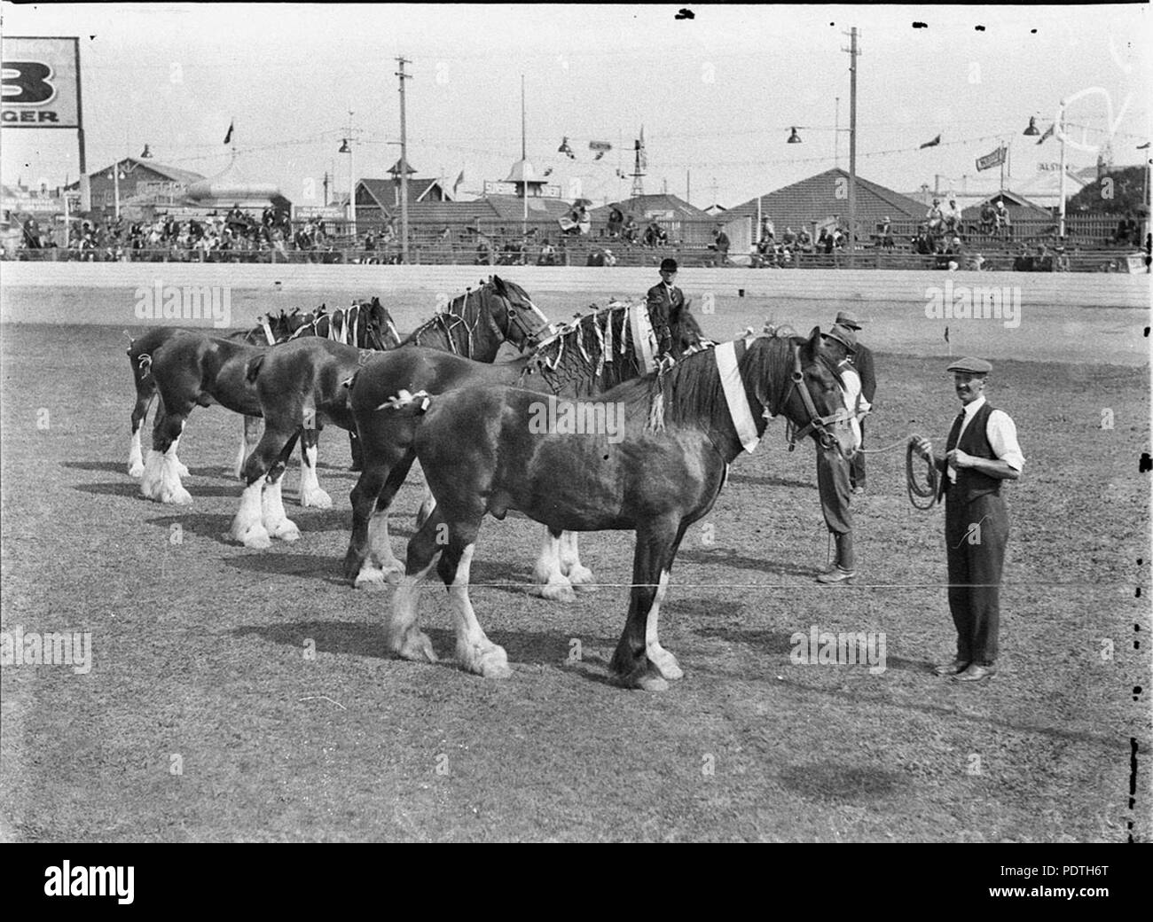 169 51545 SLNSW La Clydesdale gagnante équipe de quatre Banque D'Images