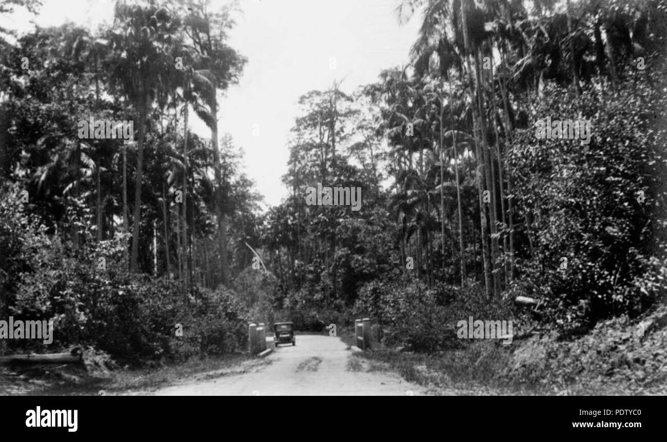 218 132452 StateLibQld 1 véhicule à moteur se déplaçant le long de la route de la Côte Nord, 1935 Banque D'Images