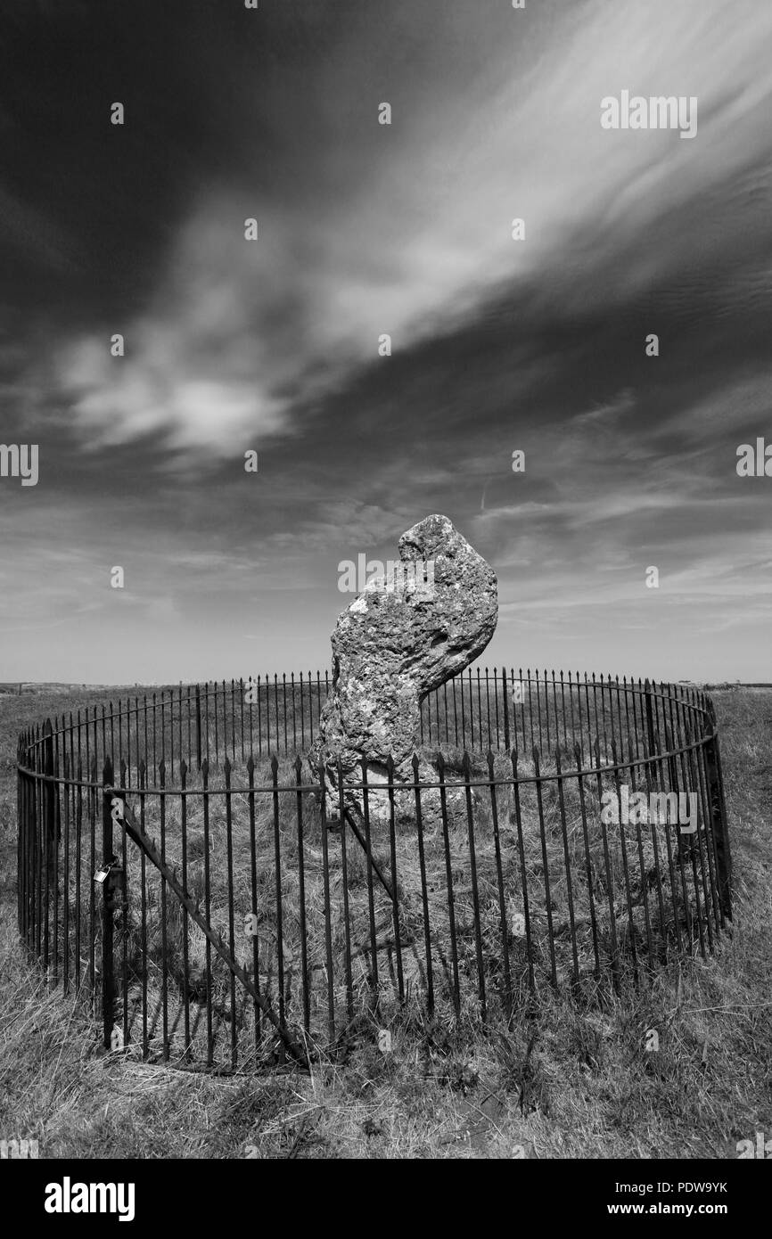 Les rois de la pierre, Rollright Stones, près de Chipping Norton, Oxfordshire, Angleterre. Banque D'Images