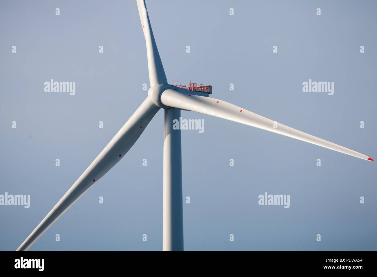 MHI Vestas V164-8.0 MW éoliennes sur l'Extension de parcs offshore Walney, le plus grand parc éolien offshore. Les éoliennes sont l'une des plus puissantes turbines dans le monde Banque D'Images