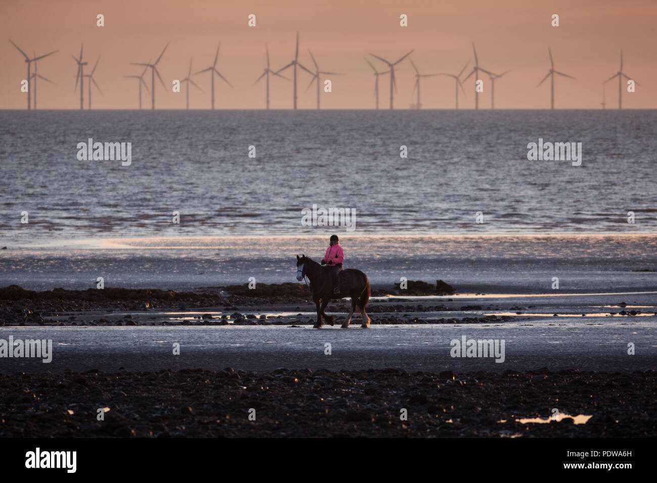 Une femme montant un cheval au crépuscule sur la plage de l'île de Walney, Barrow-in-Furness, Cumbria. Éoliennes en mer peut être vu dans la distance. Banque D'Images