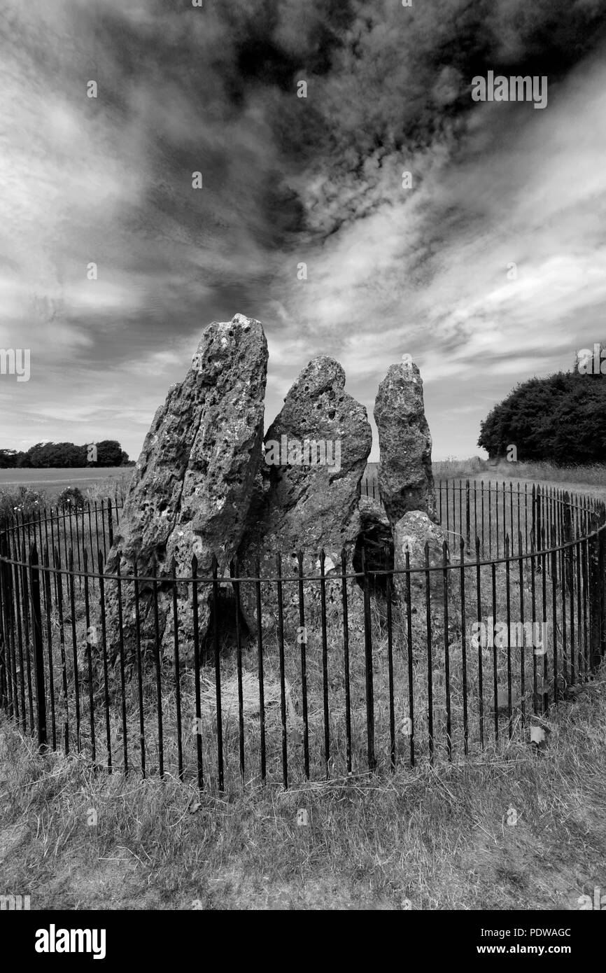 Le Whispering Knights, cercle de pierres de Rollright Stones, près de Chipping Norton, Oxfordshire, Angleterre. Banque D'Images