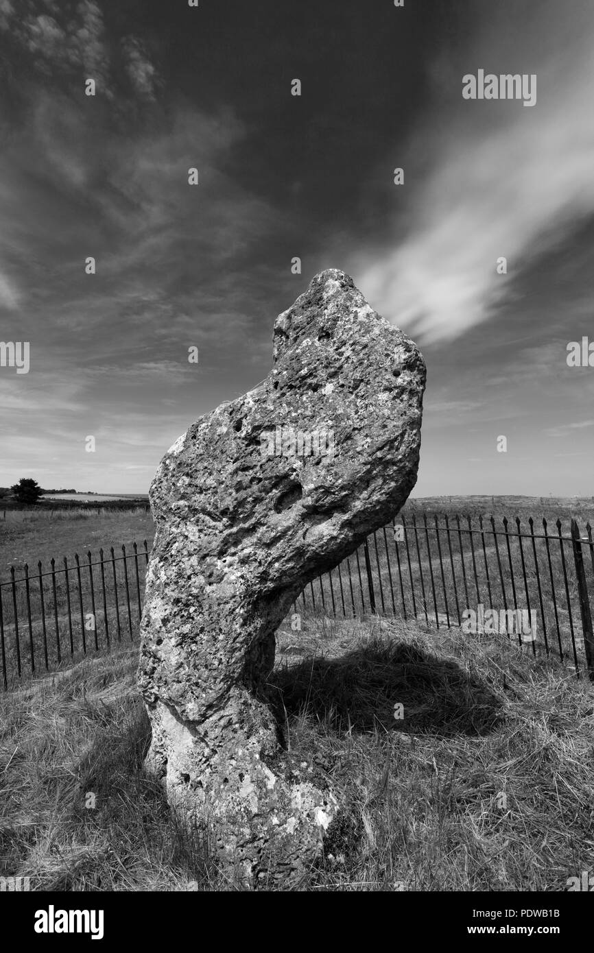 Les rois de la pierre, Rollright Stones, près de Chipping Norton, Oxfordshire, Angleterre. Banque D'Images