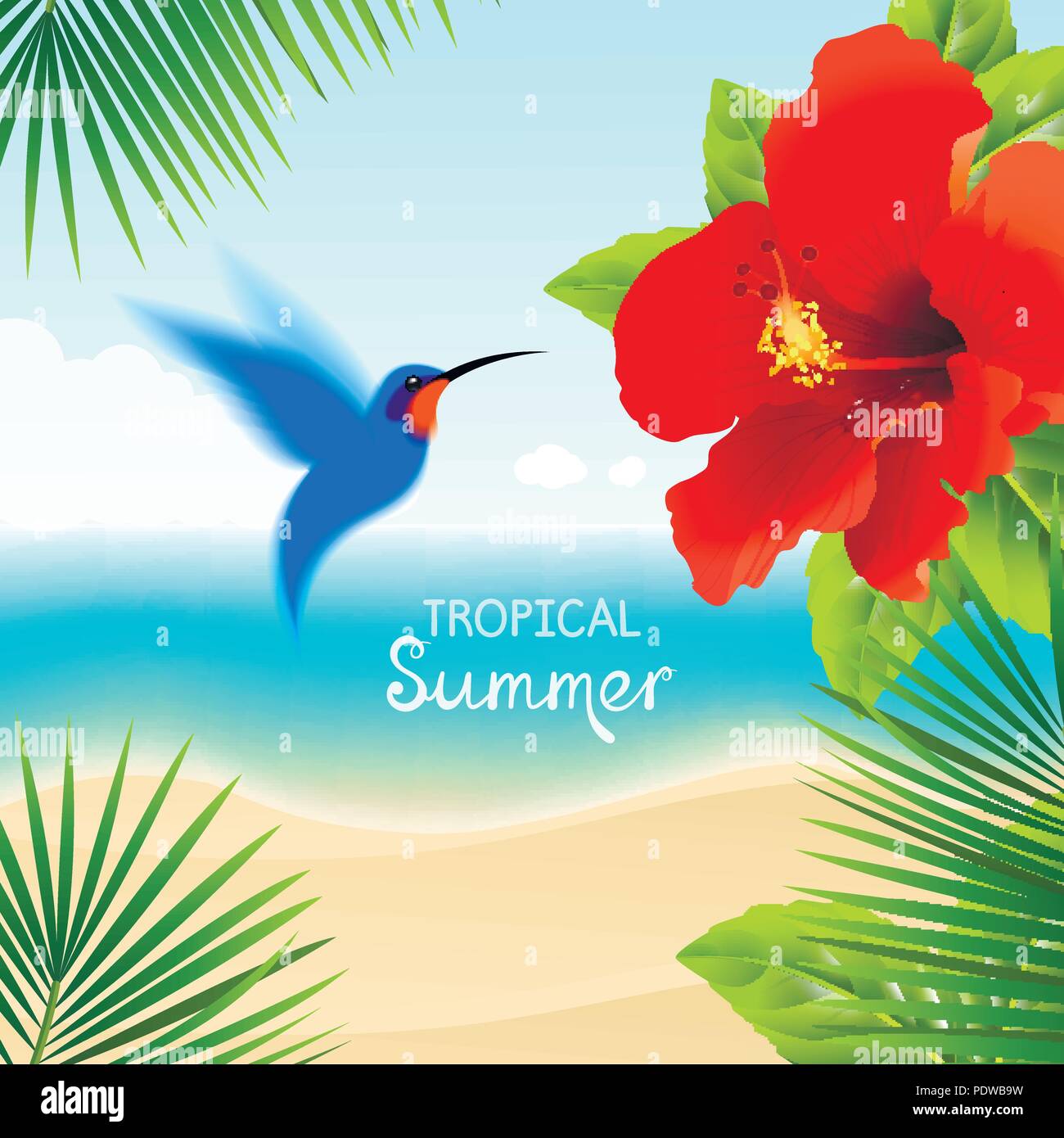Contexte Tropical Avec Les Colibris Et Hibiscus Rouge Image Vectorielle Stock Alamy Contexte Tropical Avec Les Colibris Et Hibiscus Rouge Image Vectorielle Stock Alamy