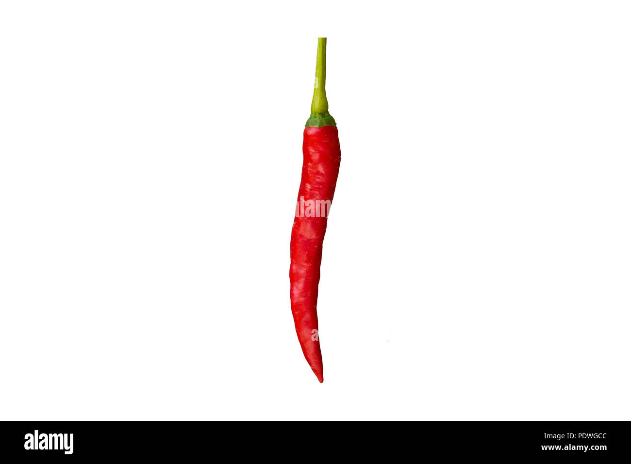 Grande image d'un beau rouge de l'œil de l'oiseau isolé long piment (Capsicum annuum) sur un fond blanc à partir de l'Asie du Sud-Est. Peut être facilement coupé et... Banque D'Images