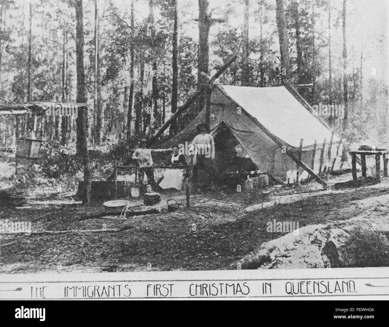 237 Immigrants StateLibQld 1 164391 premier Noël dans le Queensland, 1911 Banque D'Images