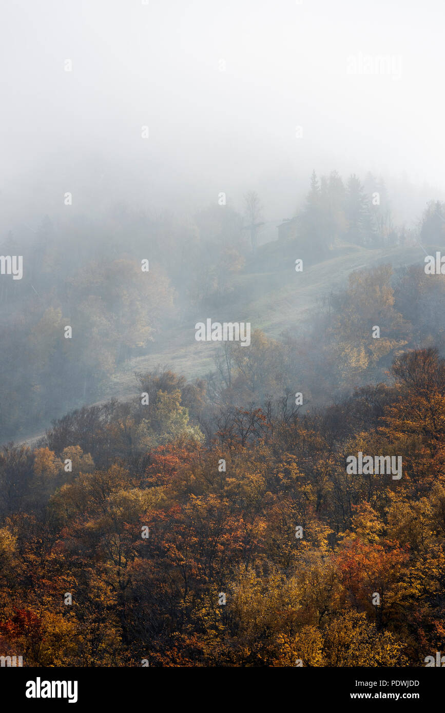 Cannon Mountain avec détail automne brouillard roulant, Franconia State Park, New Hampshire, USA. Banque D'Images