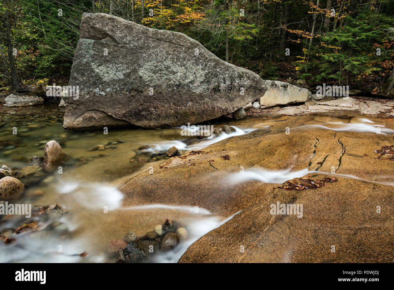 Cascade de la Franconie State Park, New Hampshire, USA. Banque D'Images