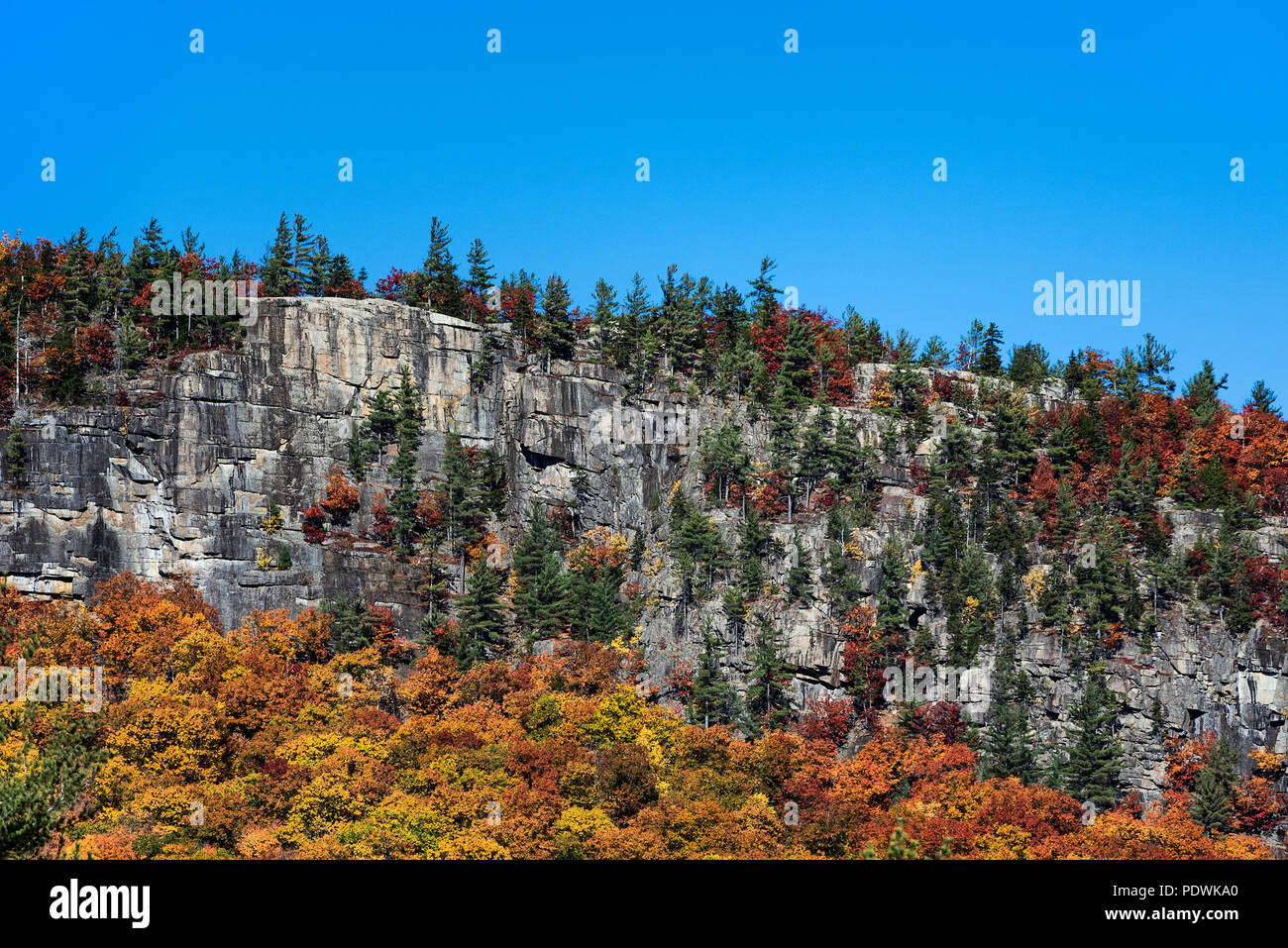 Mur de montagnes de granit et de feuillage de l'automne, Franconia Notch State Park, New Hampshire, USA. Banque D'Images