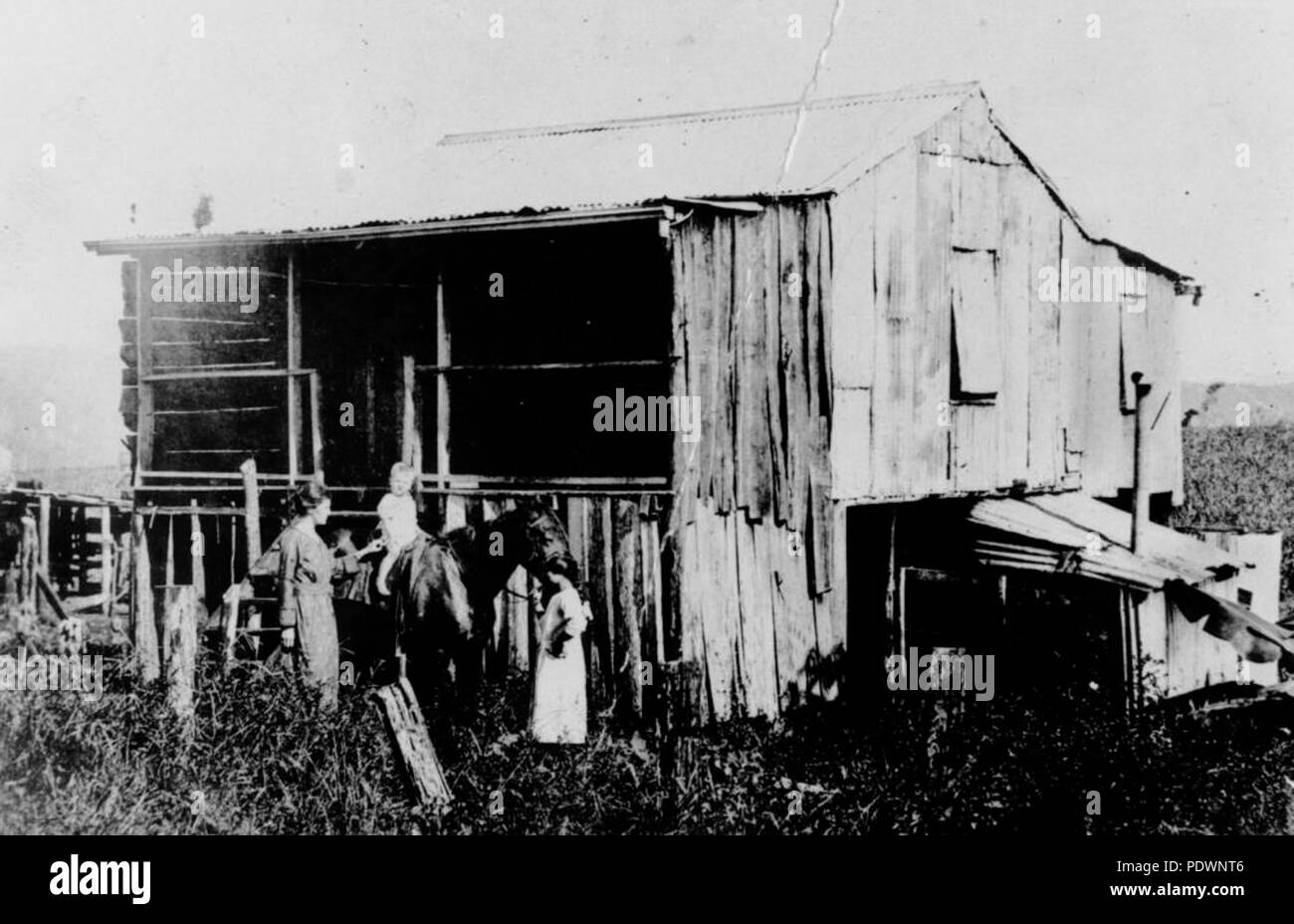 273 77274 StateLibQld 1 Résidence à la South Johnstone plantation de canne à sucre, 1923 Banque D'Images