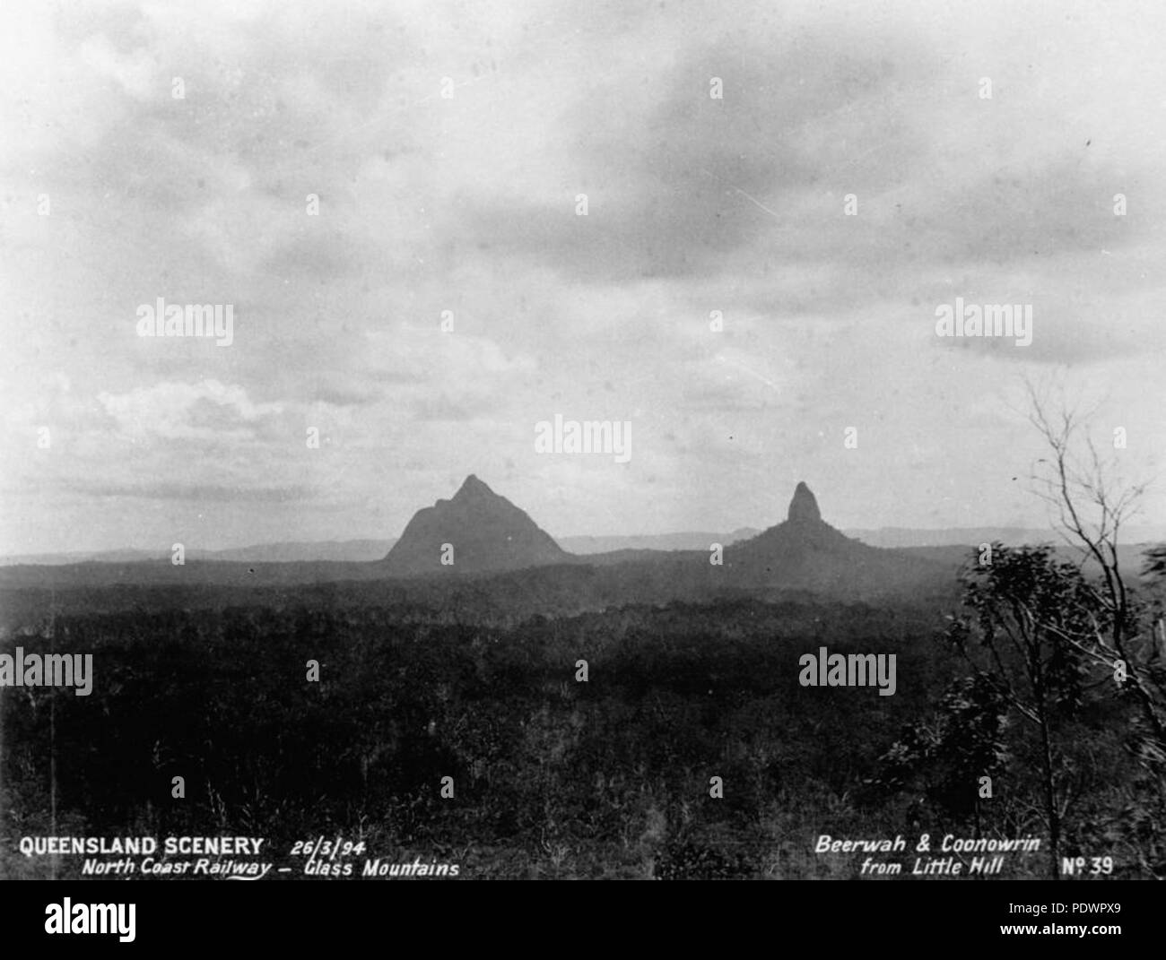 280 110116 StateLibQld 2 vue sur le Glasshouse Mountains, 1894 Banque D'Images