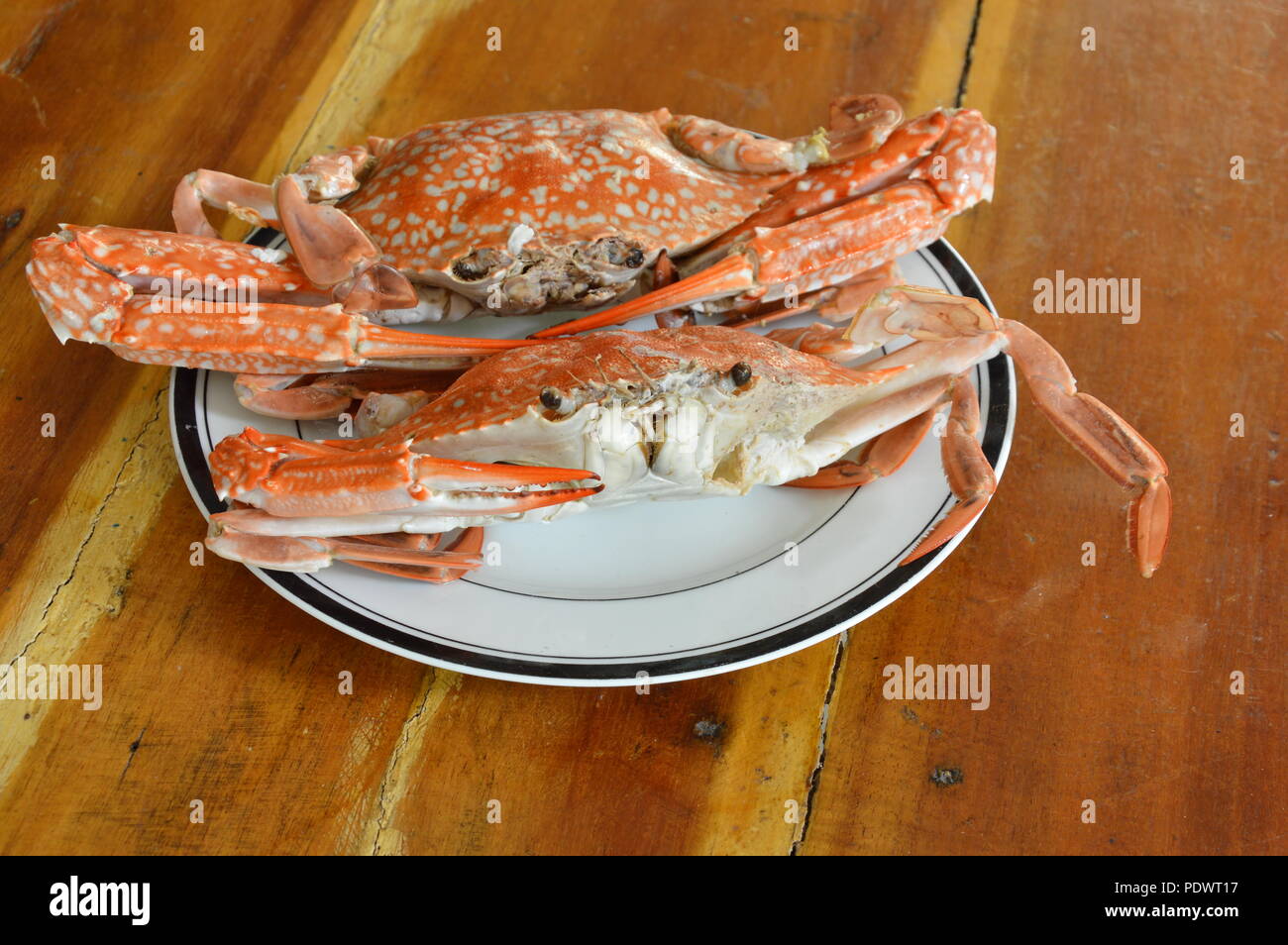 Bleu crabe nageur à la vapeur on white plate Banque D'Images