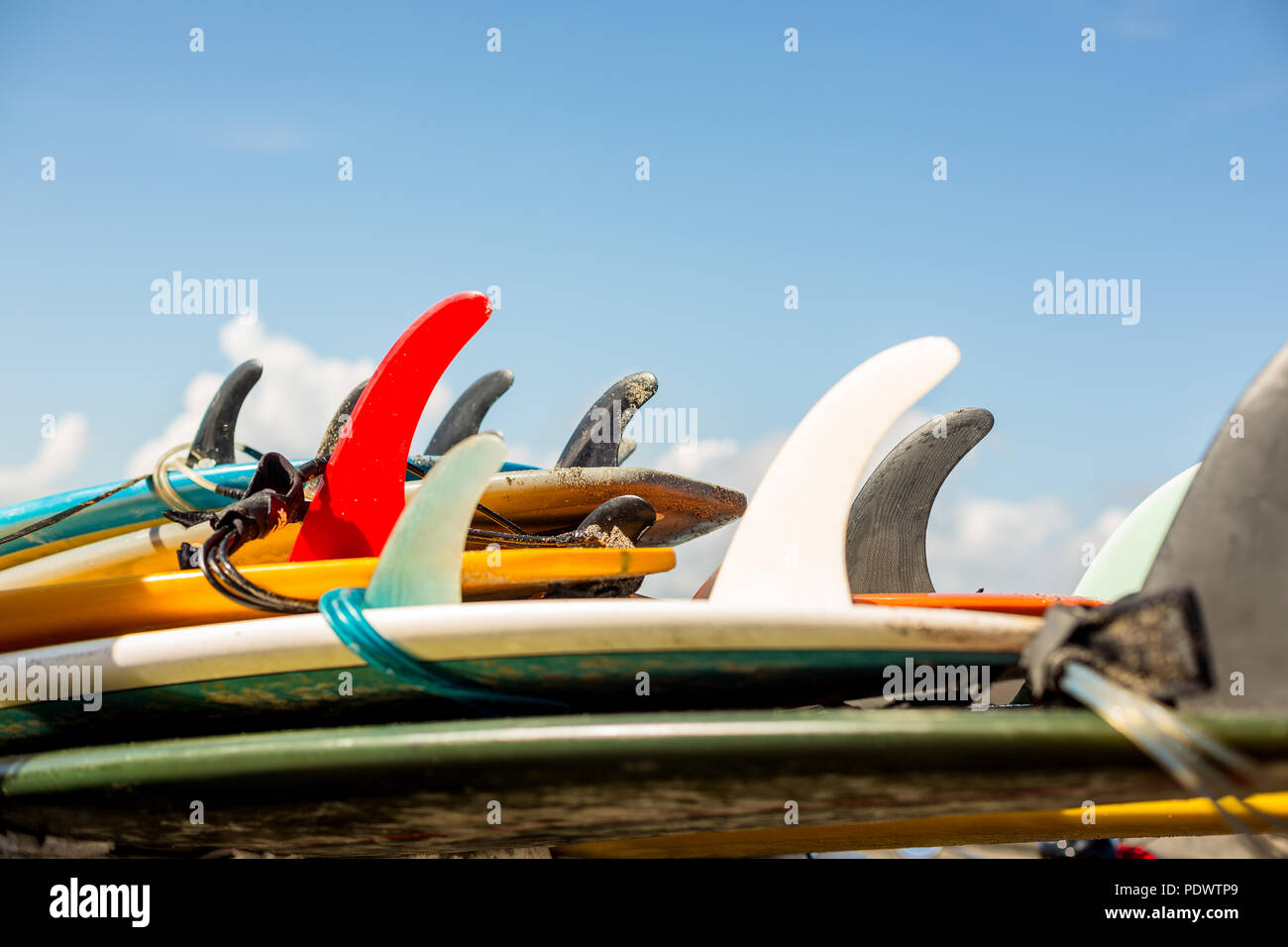 De nombreux célibataires fin surf longboard avec surf leash prêt à louer. S'amuser sur de grosses vagues en plein océan. Vie familiale moderne, de l'eau personnes sport adv Banque D'Images