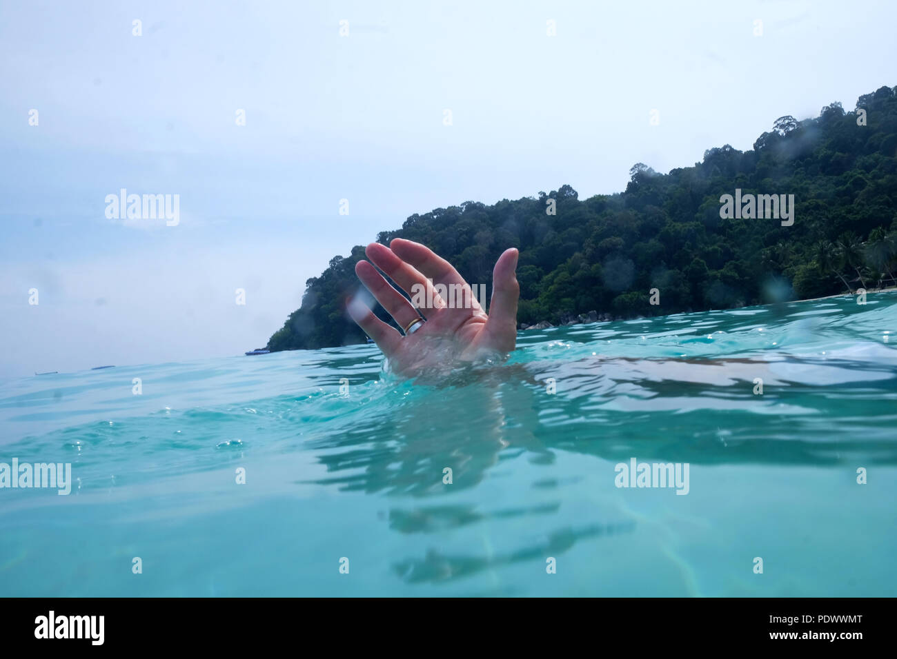 A cinquante ans, la moitié de la main sous l'eau dans la mer et les doigts au-dessus de l'eau derrière est bleu ciel et les arbres verts Banque D'Images