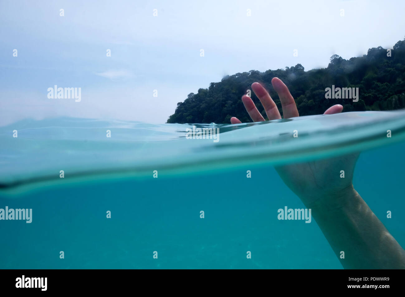 A cinquante ans, la moitié de la main sous l'eau dans la mer et les doigts au-dessus de l'eau derrière est bleu ciel et les arbres verts Banque D'Images