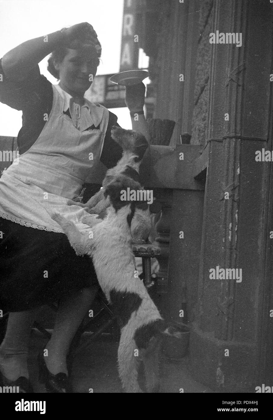 7 kutyával erkélyen Nő az. Fortepan 11514 Banque D'Images