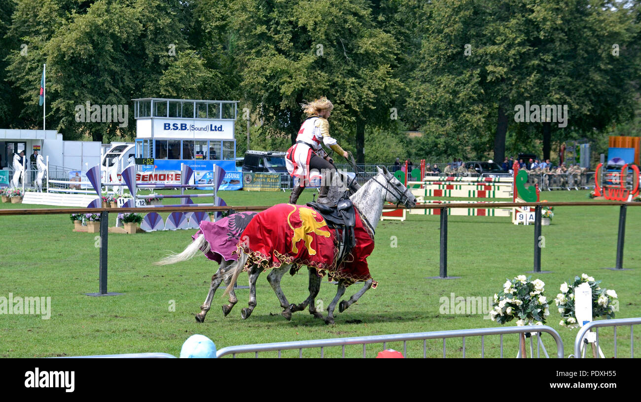 Shrewsbury, Royaume-Uni, 10 août 2018. Shrewsbury Flower Show 10/8/18. Medieval jousting horse Crédit : affichage Susie Kearley/Alamy Live News Banque D'Images