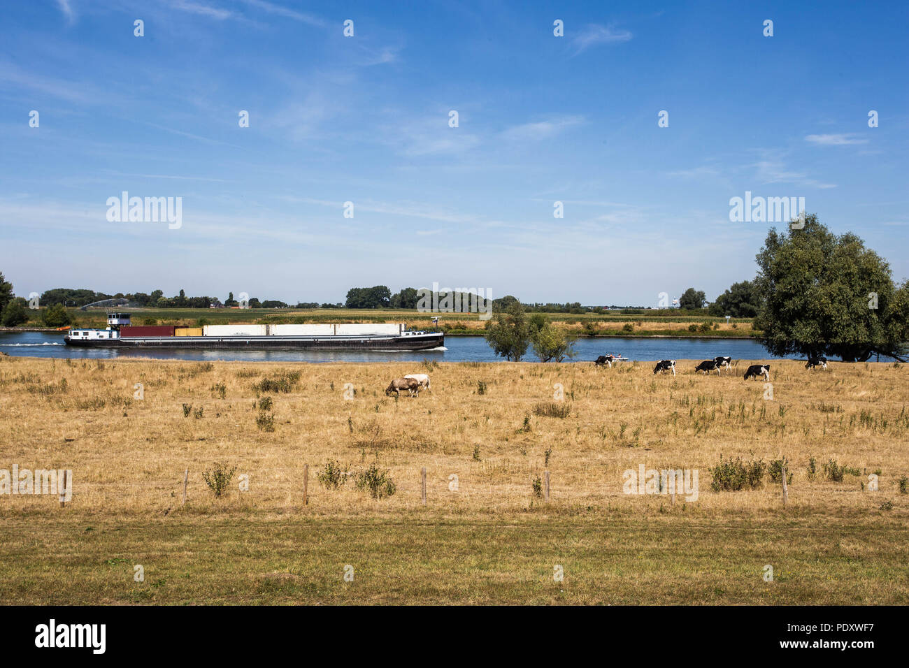 Transport de conteneurs de fret grand par bateau à Dutch river paysage sec Banque D'Images
