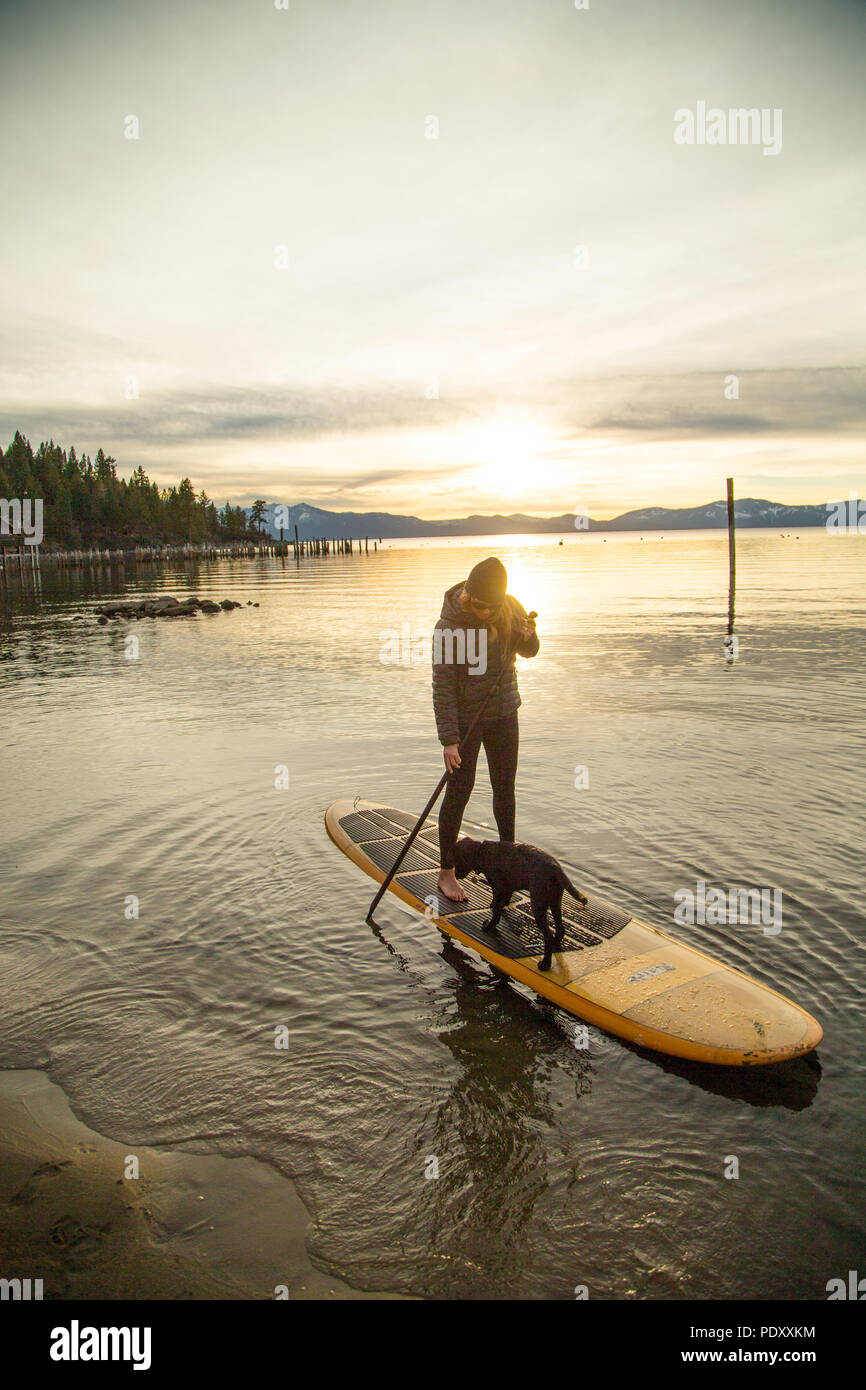 Woman with Dog on Paddle Board au coucher du soleil, le lac Tahoe, Pacé, Nevada, USA Banque D'Images