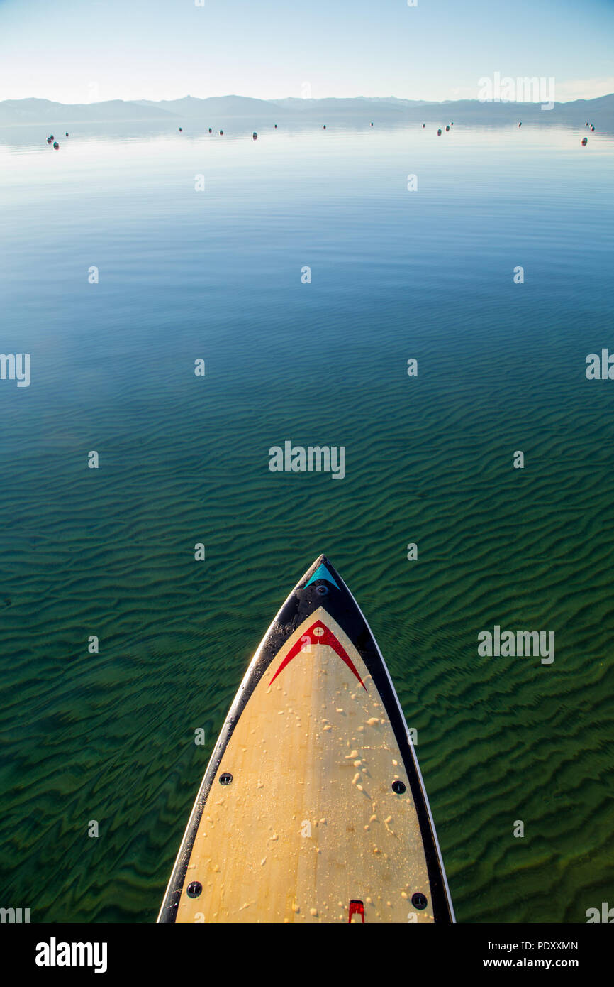 Portrait de la pointe avant de Paddle Board en eau peu profonde sur Misty Lake Tahoe, Nevada, USA Banque D'Images