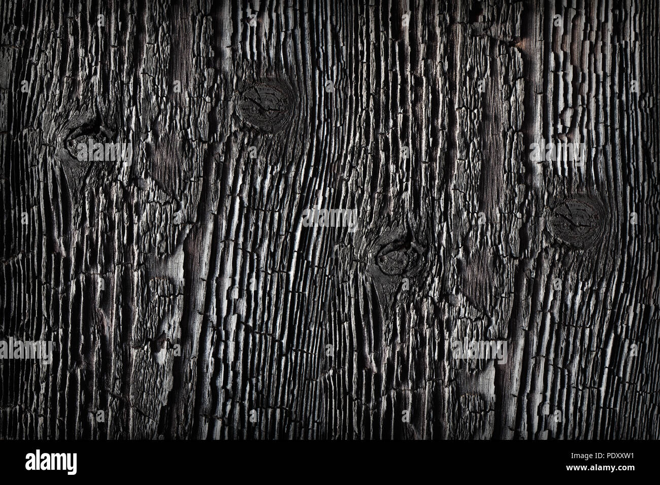 Texture bois carbonisé. Banque D'Images
