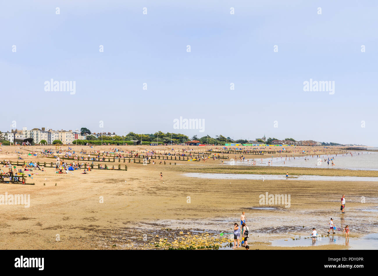 Vue de la plage est de sable populaire avec des éperons à marée basse, Littlehampton, une petite station balnéaire sur la côte sud dans la région de West Sussex, UK en été Banque D'Images