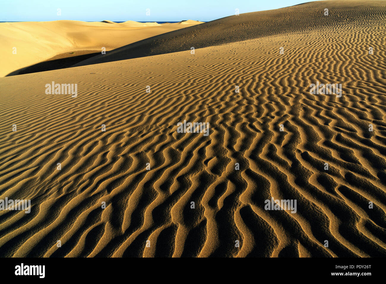 Paysage de dunes, dunes de Maspalomas, Dunas de Maspalomas, les structures dans le sable, réserve naturelle, Gran Canaria, Îles Canaries Banque D'Images