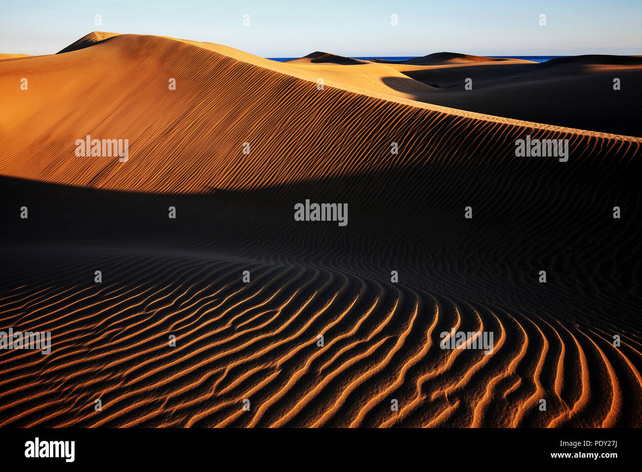 Paysage de dunes, Dunes de Maspalomas, Dunas de Maspalomas, les structures dans le sable, lumière du soir, réserve naturelle, Gran Canaria Banque D'Images