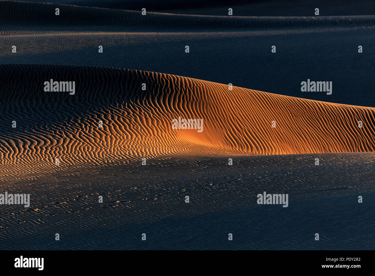 Paysage de dunes, Dunes de Maspalomas, Dunas de Maspalomas, les structures dans le sable, lumière du soir, réserve naturelle, Gran Canaria Banque D'Images