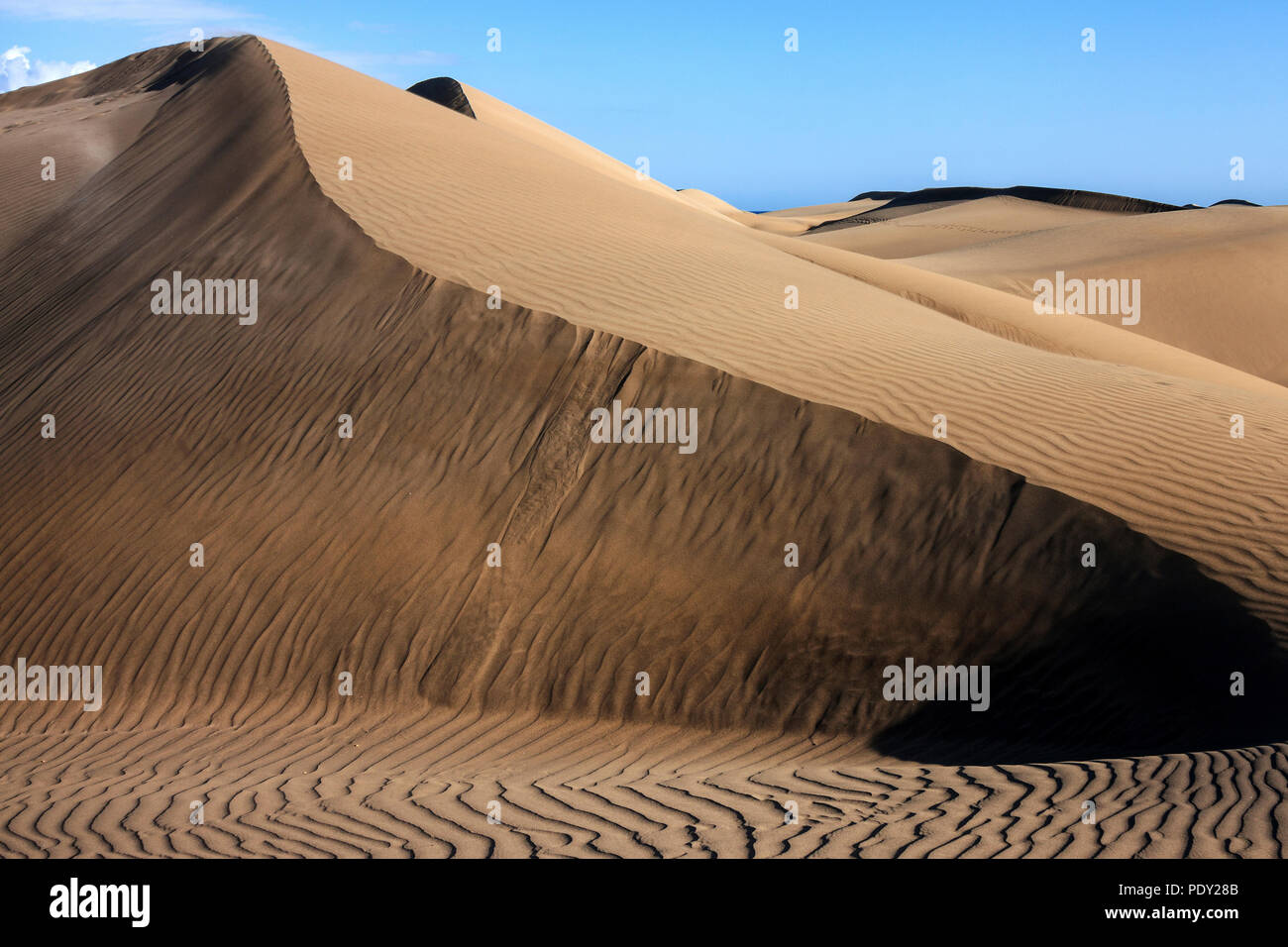 Paysage de dunes, dunes de Maspalomas, Dunas de Maspalomas, les structures dans le sable, réserve naturelle, Gran Canaria, Îles Canaries Banque D'Images