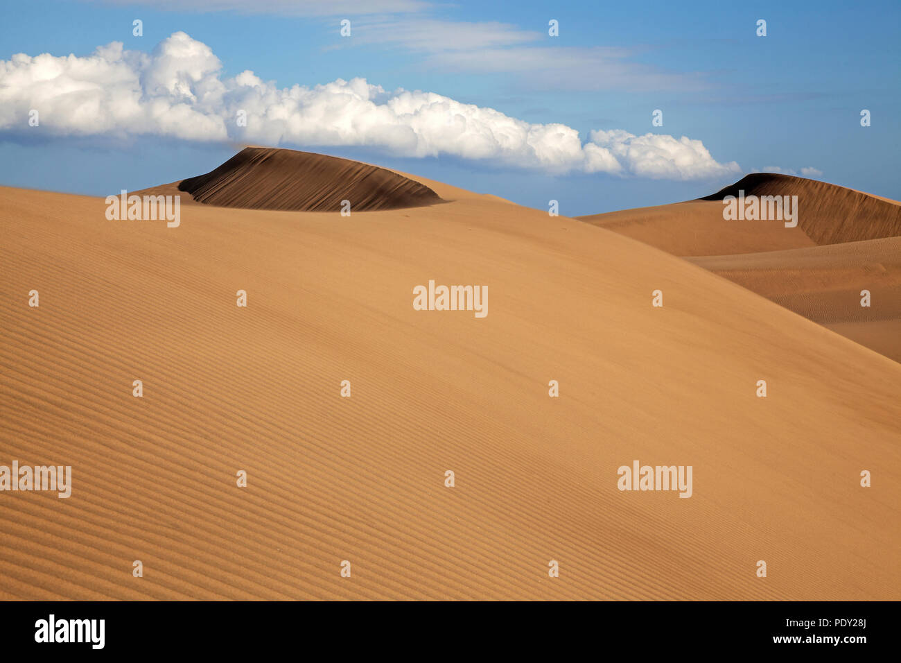Paysage de dunes, dunes de Maspalomas, Dunas de Maspalomas, la formation de nuages, réserve naturelle, Gran Canaria, Îles Canaries, Espagne Banque D'Images