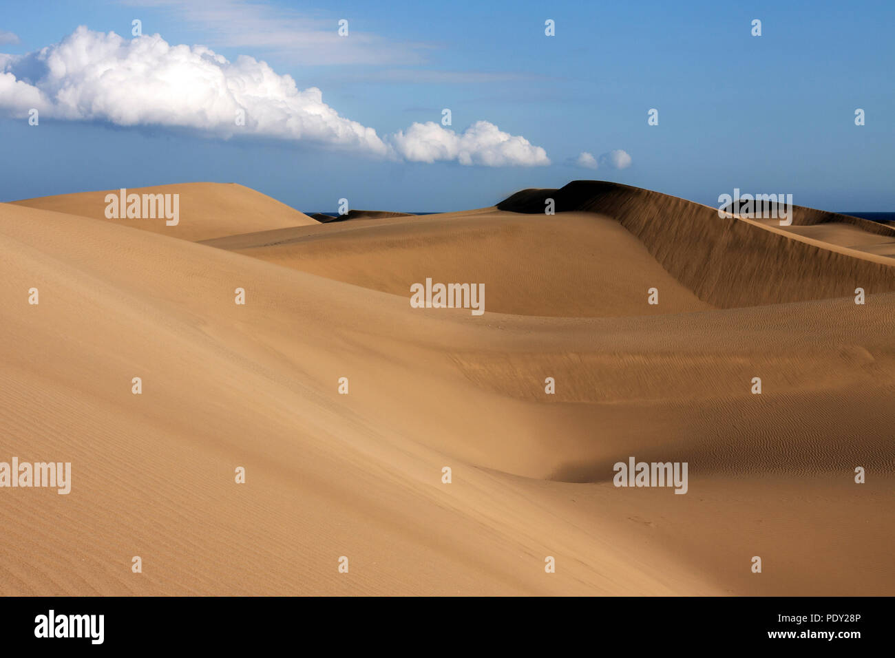 Paysage de dunes, dunes de Maspalomas, Dunas de Maspalomas, la formation de nuages, réserve naturelle, Gran Canaria, Îles Canaries, Espagne Banque D'Images