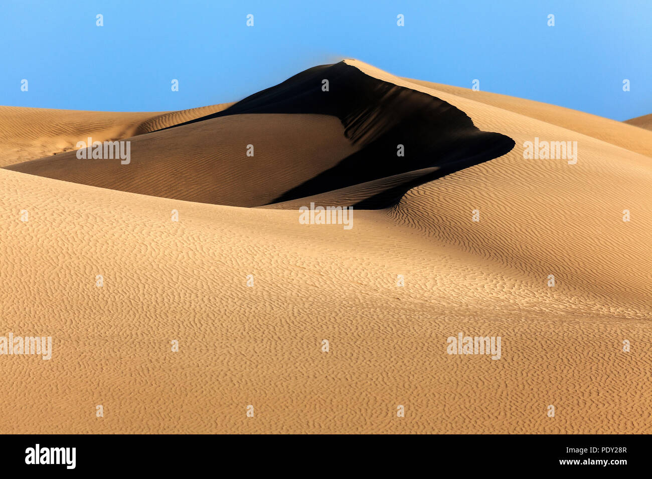 Paysage de dunes, dunes de Maspalomas, Dunas de Maspalomas, les structures dans le sable, réserve naturelle, Gran Canaria, Îles Canaries Banque D'Images