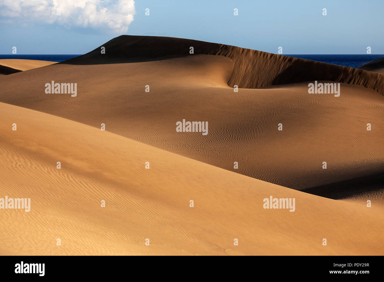 Paysage de dunes, dunes de Maspalomas, Dunas de Maspalomas, les structures dans le sable, réserve naturelle, Gran Canaria, Îles Canaries Banque D'Images