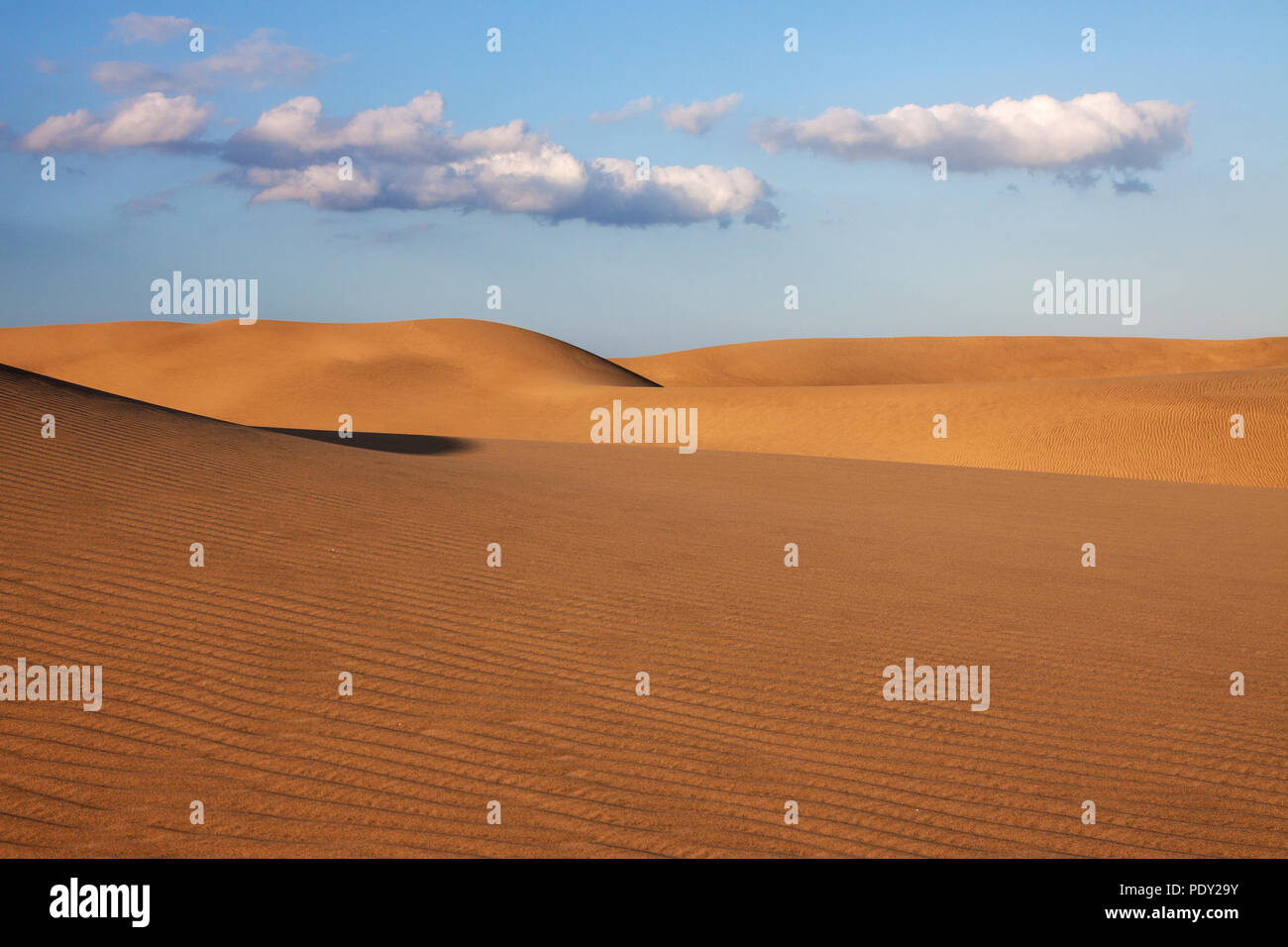 Paysage de dunes, dunes de Maspalomas, Dunas de Maspalomas, les structures dans le sable, réserve naturelle, Gran Canaria, Îles Canaries Banque D'Images