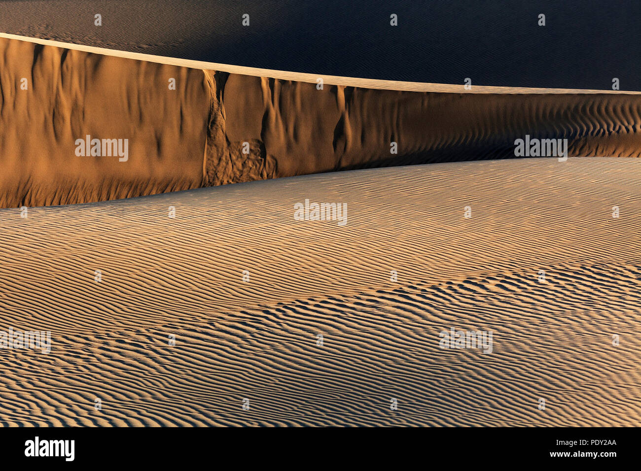 Paysage de dunes, Dunes de Maspalomas, Dunas de Maspalomas, les structures dans le sable, lumière du soir, réserve naturelle, Gran Canaria Banque D'Images