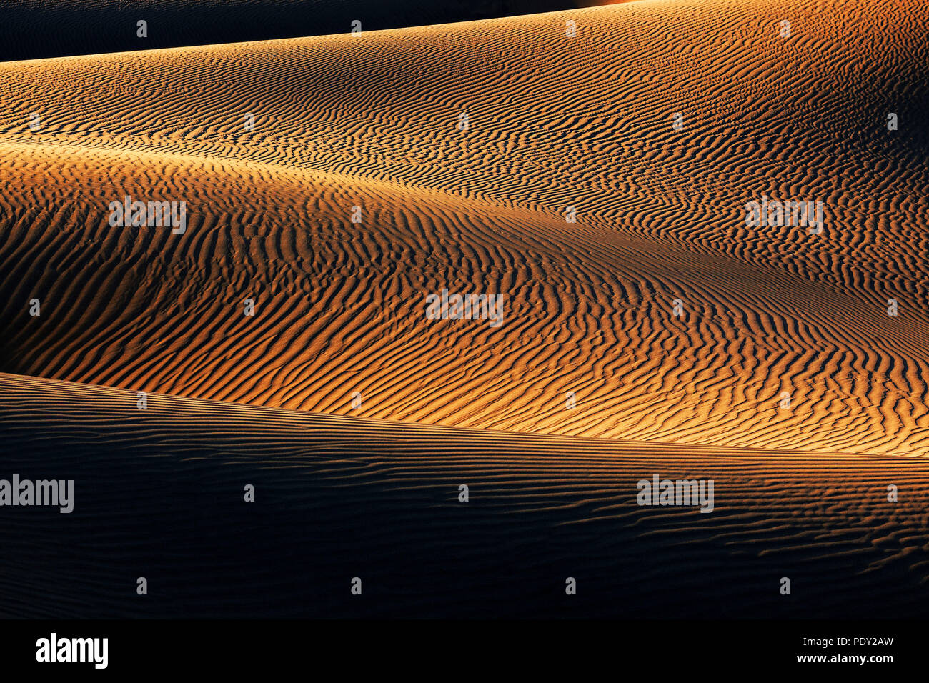 Paysage de dunes, Dunes de Maspalomas, Dunas de Maspalomas, les structures dans le sable, lumière du soir, réserve naturelle, Gran Canaria Banque D'Images