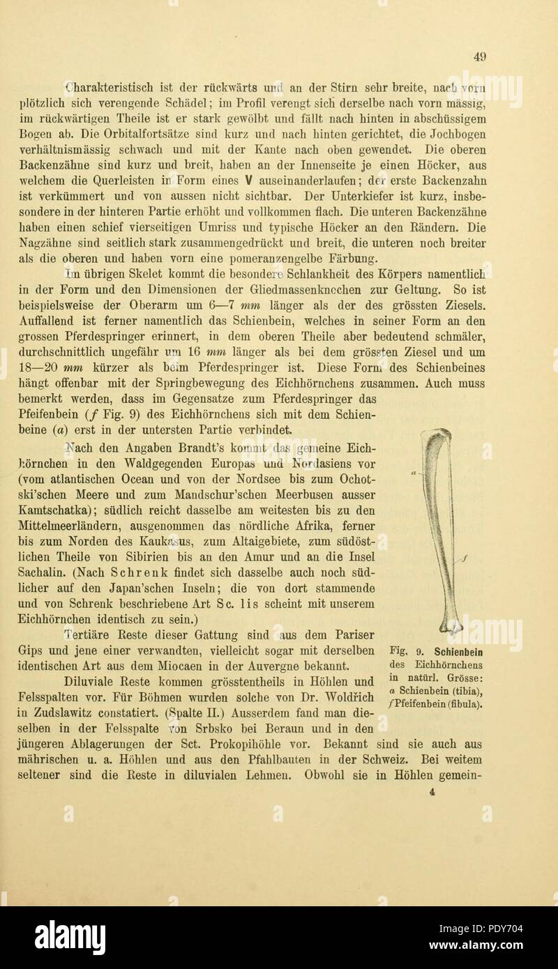 Archiv für die naturwissenschaftliche Landesdurchforschung von Böhmen (page 49) Banque D'Images