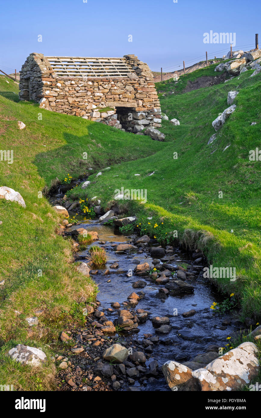 L'un des trois anciens moulins à eau horizontale / moulin à eau / Huxter Clack Mills, Sandness, Mainland, Shetland, Scotland, UK Banque D'Images