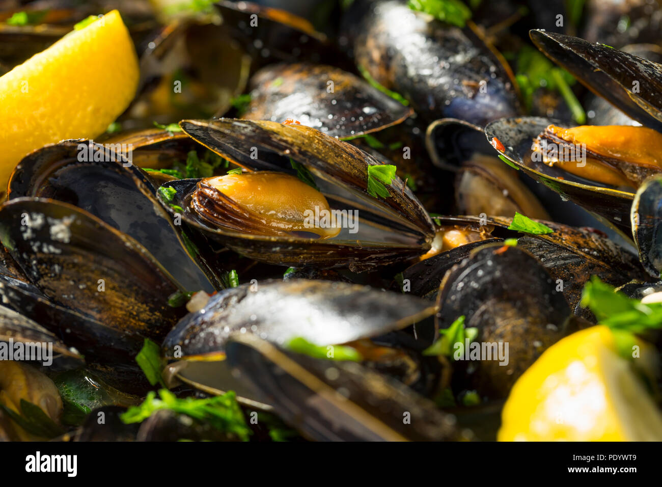 Des moules vapeur et le bouillon avec du pain Banque D'Images