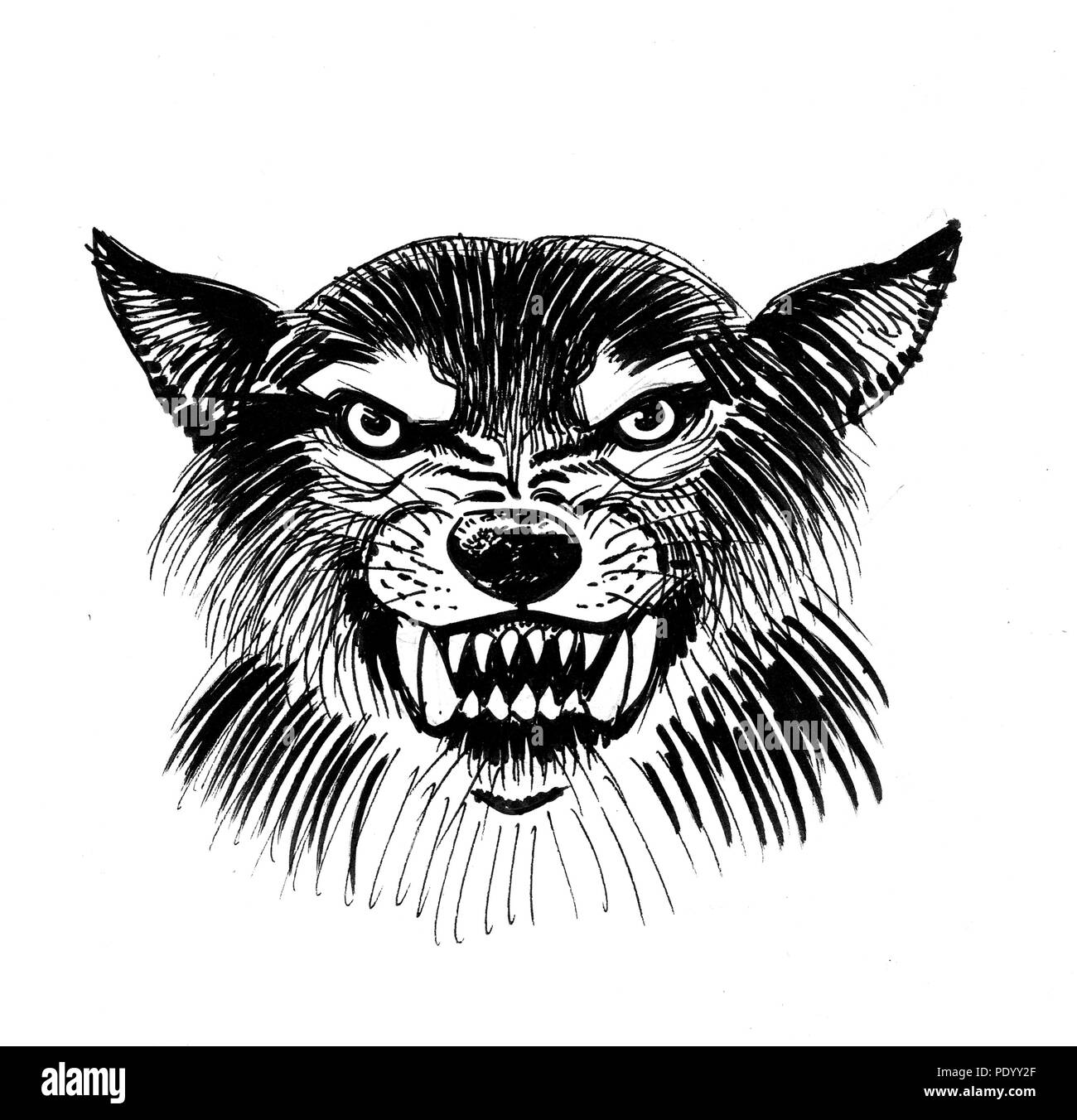 Loup en colere dessin Banque de photographies et d’images à haute résolution Alamy