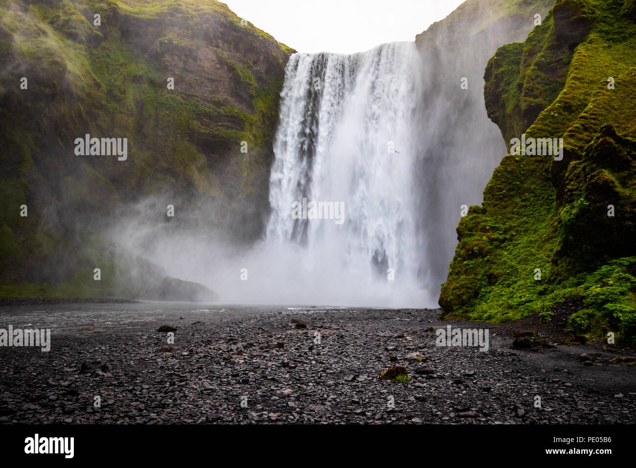 Cascade Skógafoss, Islande Banque D'Images