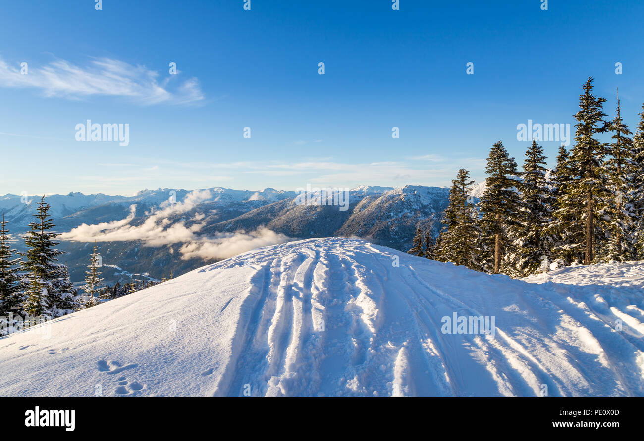 Les pistes de ski en déposant une crête, avec vue sur les montagnes près de Whistler, en Colombie-Britannique. Banque D'Images